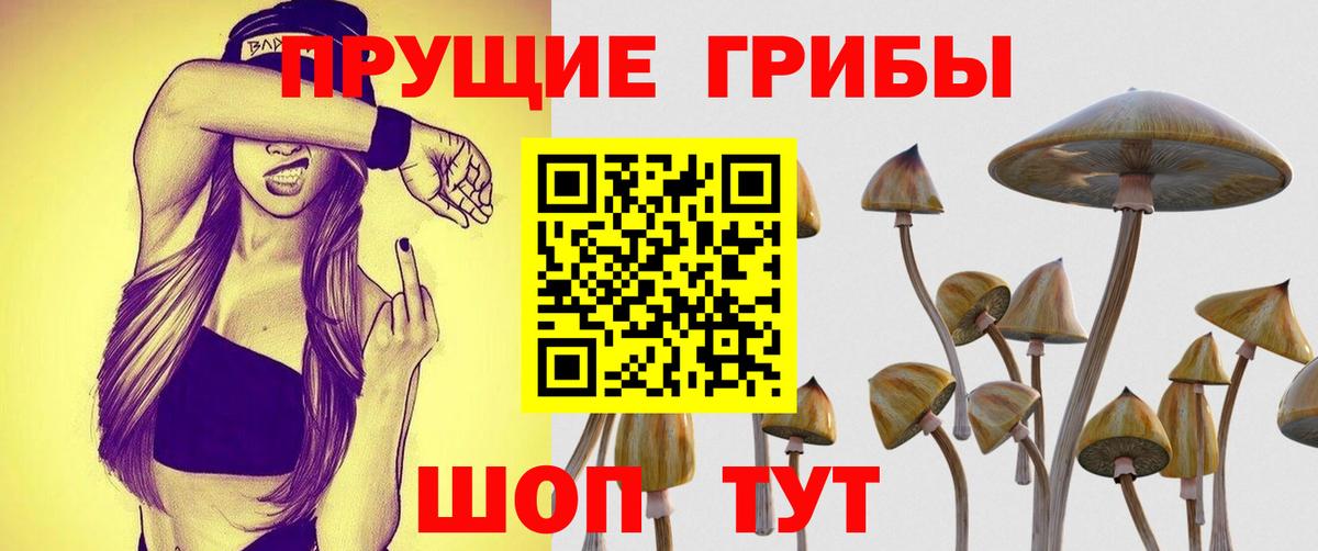 Псилоцибиновые грибы мицелий Самара