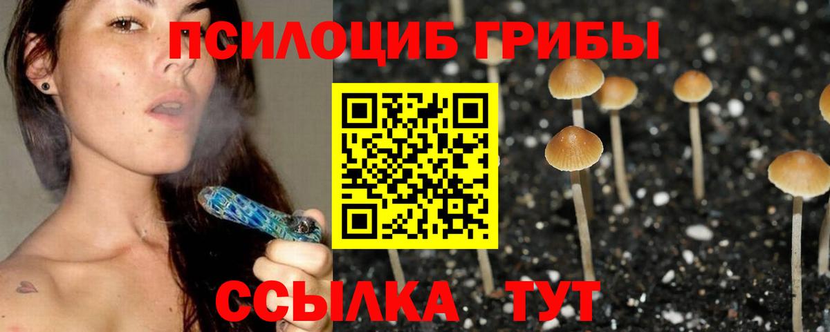 Псилоцибиновые грибы MAGIC MUSHROOMS  Вход с VPN  Галлюциногенные грибы GOLDEN TEACHER  Самара 